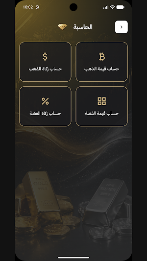 MSA Gold Screenshot 0