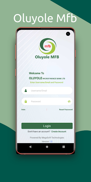 Oluyole MFB Screenshot 0