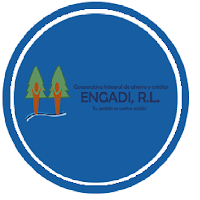 Engadi App
