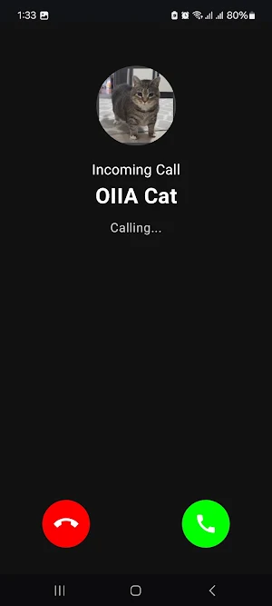 Call from Ui ie ia Cat Spining Screenshot 1