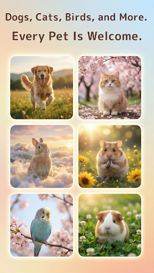 Rainbow AI: Pet Loss Reunion Screenshot 3