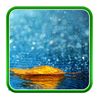 Rain Live Wallpapers