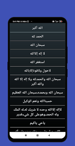 Tasbeeh Counter Pro 2020 | Dhikr Counter Screenshot 3