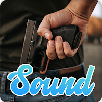 Gun Shot Sounds Effect