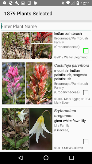 Olympic Wildflowers Screenshot 1