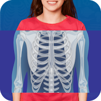 X-Ray: Body Scanner Guide