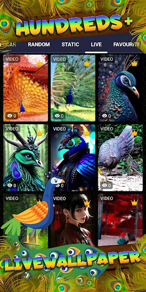 peacock wallpaper Screenshot 2