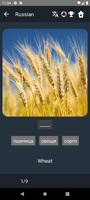 Russian Language Tests Screenshot 3