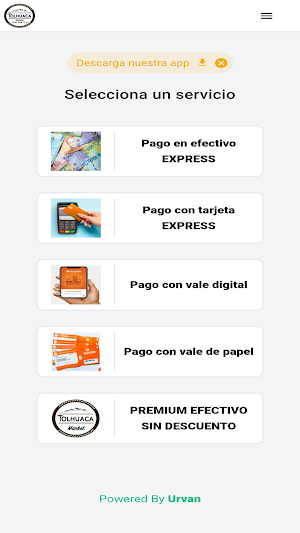 Tolhuaca Market Screenshot 2