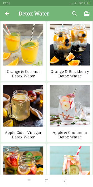 Healthy Detox Cleansing Drinks Recipes Screenshot 1