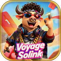 Voyage Solink