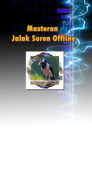Masteran Jalak Suren Offline Screenshot 3