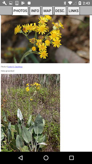 North Carolina Wildflowers Screenshot 3
