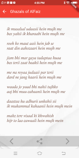 Urdu Shanaas Screenshot 3