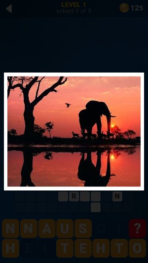 145 Photo Crosswords Screenshot 3