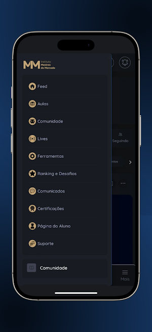 Instituto Mestres do Mercado Screenshot 2