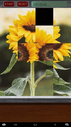 Flower Puzzle Screenshot 1