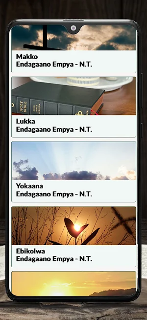 Baibuli y'Oluganda Luganda Screenshot 2