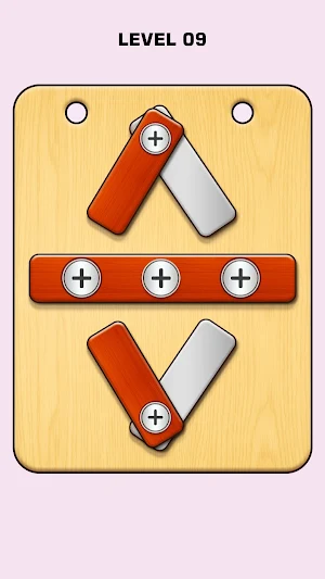 Nuts & Bolts Screw Puzzle Game Screenshot 2