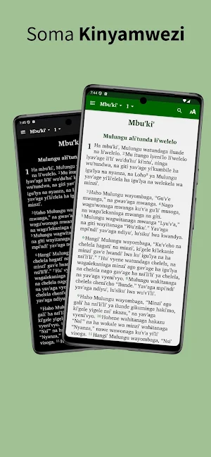 Nyamwezi Bible Screenshot 0