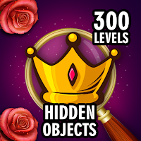 Hidden Object : Wonderful Home