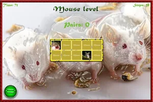 Cool pairs Screenshot 0