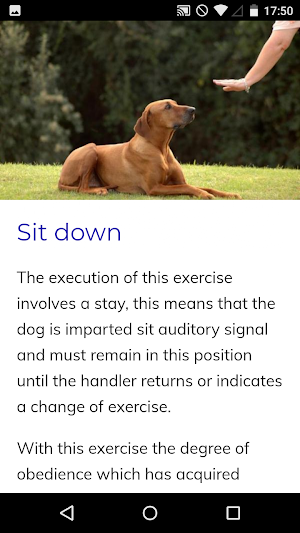 Canine Training Course Screenshot 2