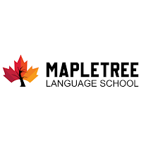 Maple Tree