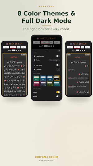 Kuran i Kerim - Quran Offline Screenshot 3