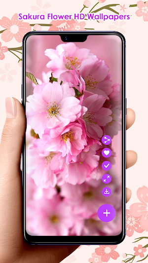 Sakura Flower HD Wallpapers Screenshot 1