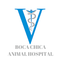 Boca Chica AH