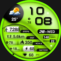 ML2U 265 Watch Face