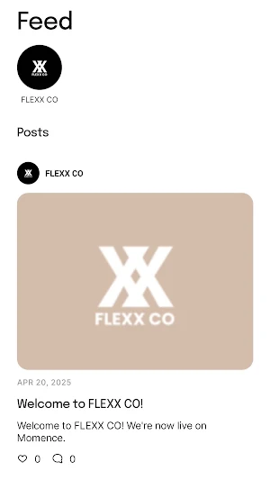 FLEXX CO Screenshot 2