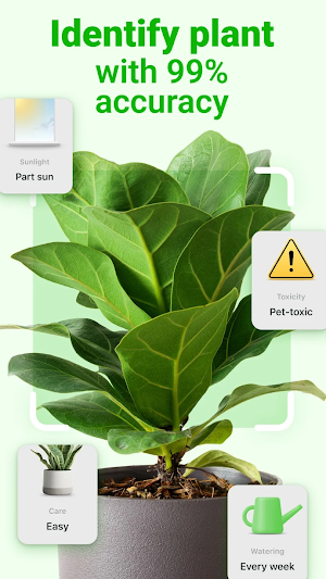 Leavif - Plant identifier Screenshot 0