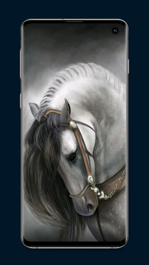 Horse Wallpapers Screenshot 3