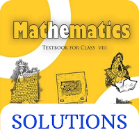 Class 8 Maths NCERT Solutions
