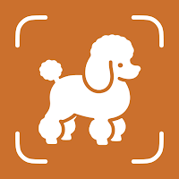 Dog Breed Identifier - Dogium