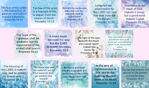 Bible Proverbs Screenshot 1