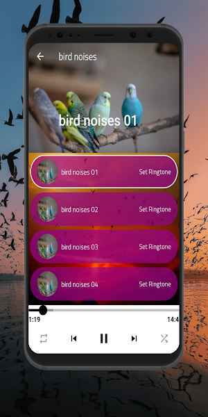 bird sounds : Birds Ringtones Screenshot 0