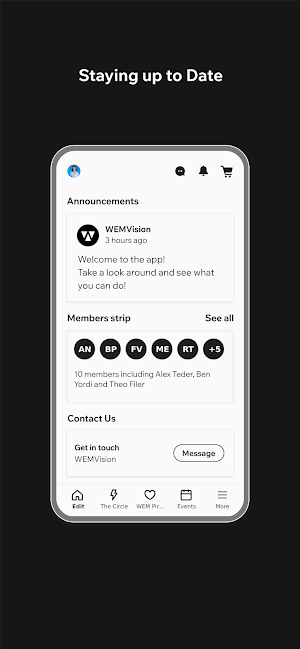 WEMVision Screenshot 2