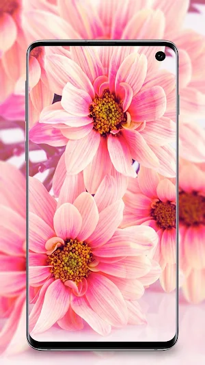 Flower Wallpaper - Colorful Flowers in HD & 4K Screenshot 3