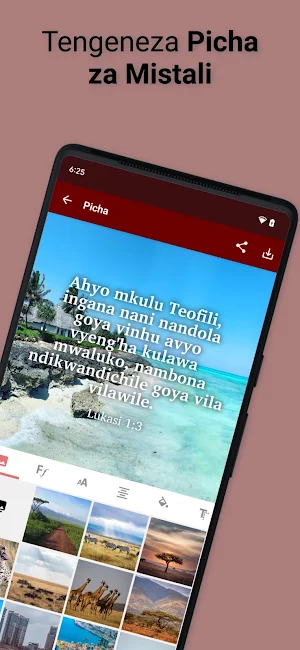 Vidunda Bible Screenshot 2
