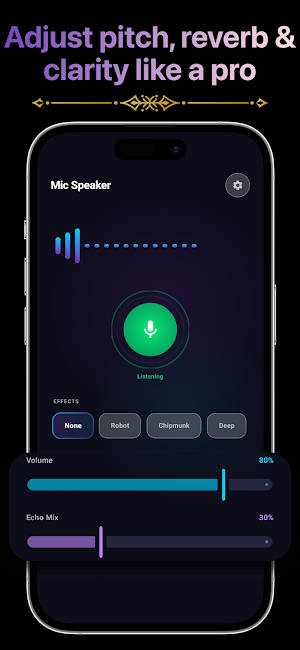 LiveMic: Bluetooth Speaker Mic Screenshot 3