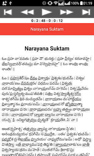 Narayana Suktam Screenshot 3