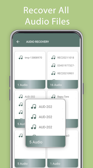 Deleted Audio Files Recovery Screenshot 2