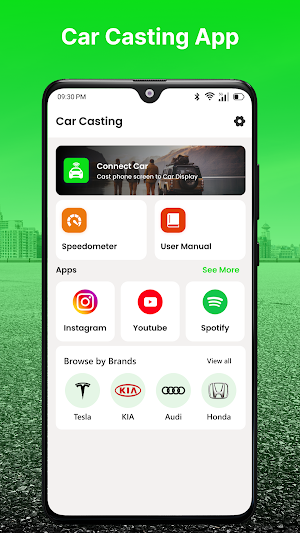 Zlink5 carplay Android Screenshot 0