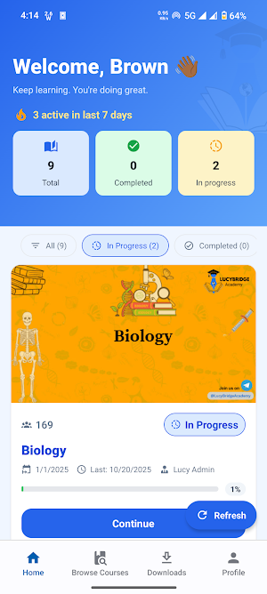 Lucy Bridge Academy Screenshot 0