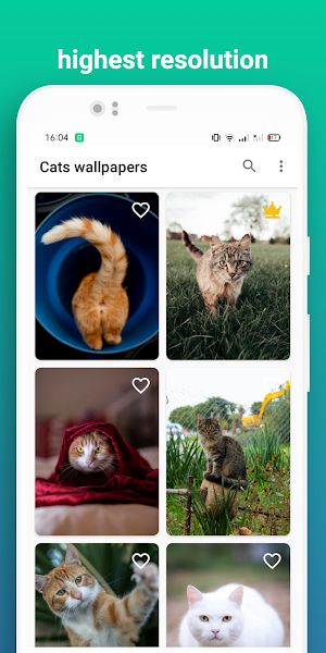 Cat wallpaper Screenshot 2