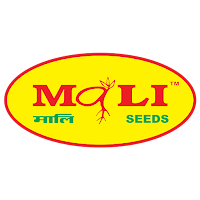 Mali Seeds