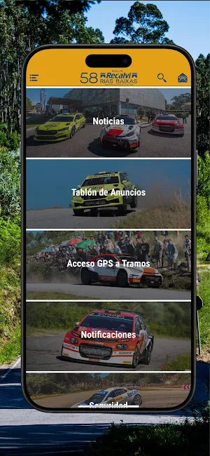 Rallye Rías Baixas Screenshot 2